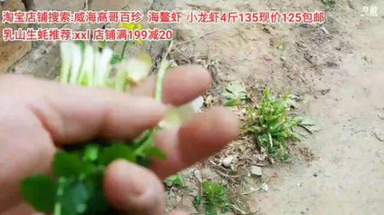 龙马精神丶老狼哥发布了一个斗鱼视频2020-04-02