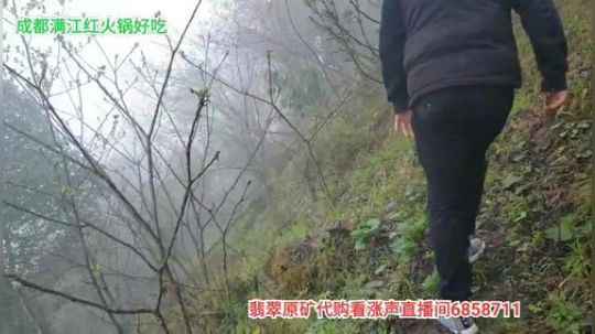 上山打野菜 2020-04-02 09点场