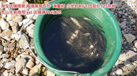 西北老狼哥哥发布了一个斗鱼视频2020-04-03