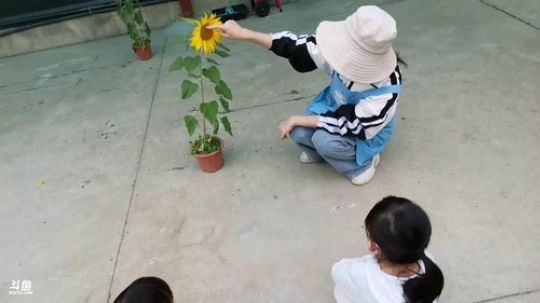 户外带娃游玩 2020-04-03 14点场