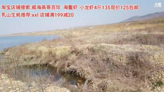 西北老狼哥哥发布了一个斗鱼视频2020-04-03