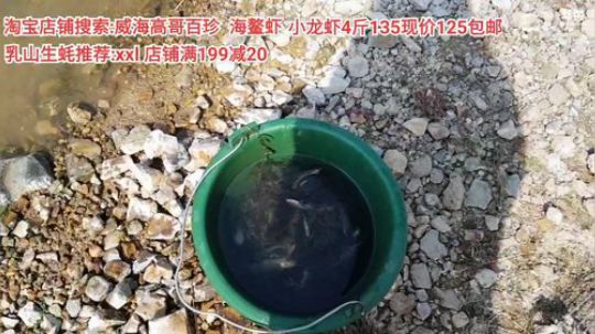 龙马精神丶老狼哥发布了一个斗鱼视频2020-04-03