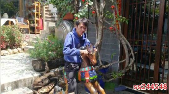 《纪实直播》理塘到拉萨25天丽江古城 2020-04-03 12点场