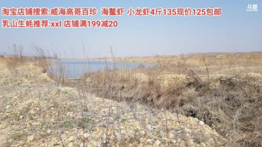 西北老狼哥哥发布了一个斗鱼视频2020-04-03