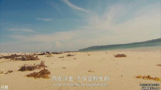护法惊丶发布了一个斗鱼视频2020-04-05