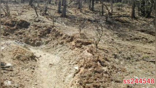 纪实直播26天登顶哈巴雪山 2020-04-05 13点场