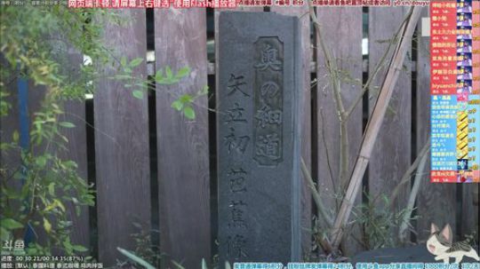 我在斗鱼看懒猫是只喵直播一起看