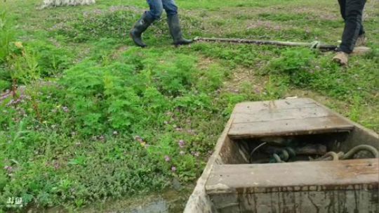 水库收地笼 468241 2020-04-05 12点场