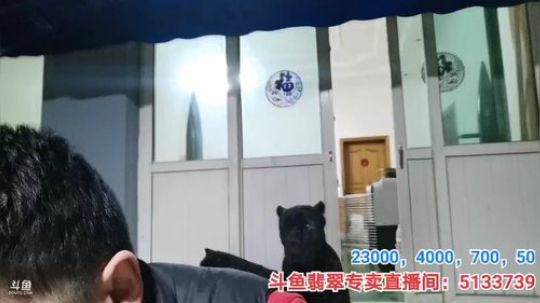 我在斗鱼看无尽无尽的无尽直播乡野