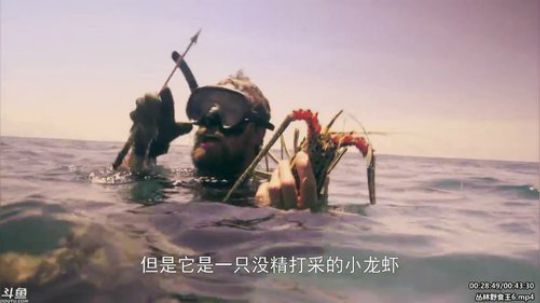 户外遛狗王飞哥发布了一个斗鱼视频2020-04-05