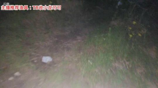十一郎君01发布了一个斗鱼视频2020-04-05