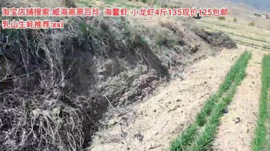 科头溜子发布了一个斗鱼视频2020-04-05
