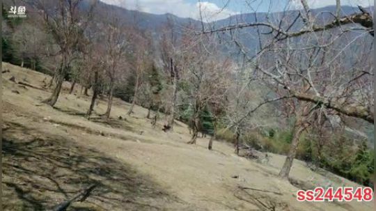 纪实直播26天登顶哈巴雪山 2020-04-05 12点场