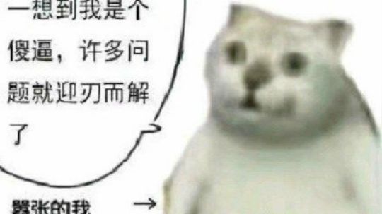 喂脑