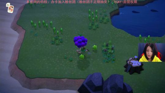 动物之森决战到天亮 2020-03-30 23点场