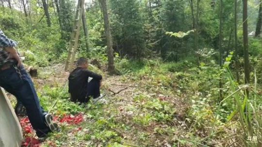 弄香椿摸鱼 2020-04-06 10点场