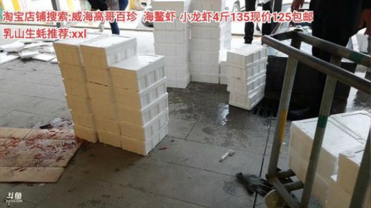 西北老狼哥哥发布了一个斗鱼视频2020-04-06