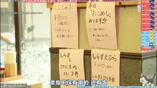 我在斗鱼看懒猫是只喵直播一起看
