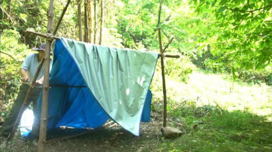 我在斗鱼看野食小哥直播美食