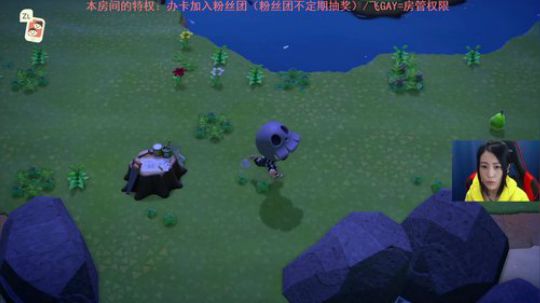 动物之森决战到天亮 2020-03-31 22点场