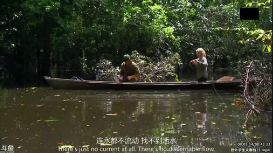 户外遛狗王飞哥发布了一个斗鱼视频2020-04-06