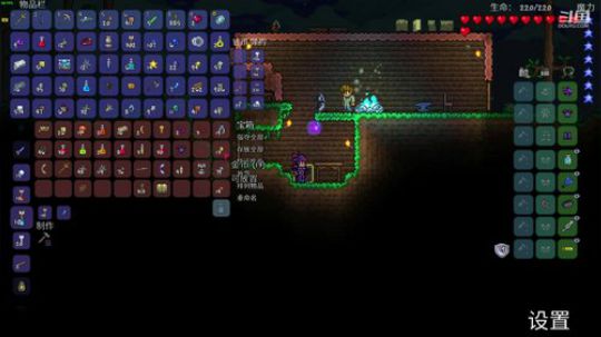 [泰拉瑞亚]玩游戏一定要快乐 2020-04-06 04点场