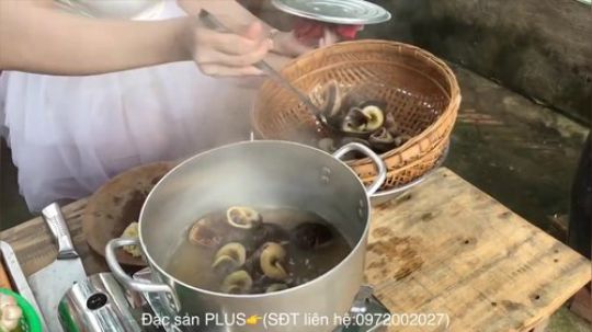 【野炊姐妹】蜗牛篇