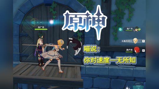 #原神#【原神】猫:你对速度一无所知