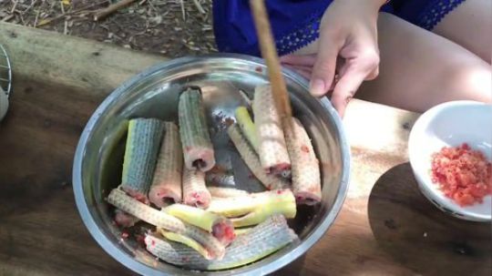 【野炊姐妹】野外美食篇