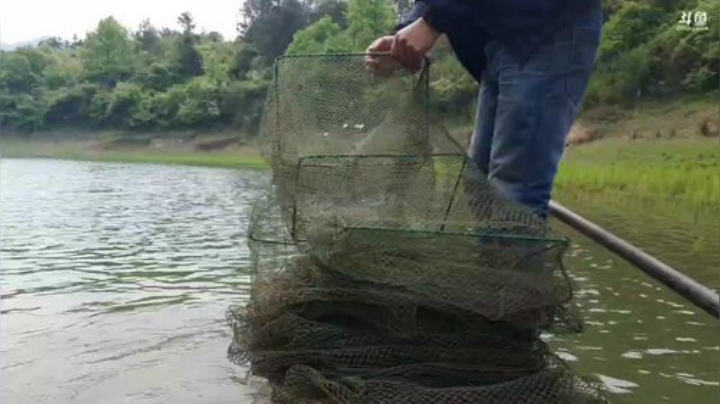 水库找水竹笋地笼 2020-04-08 10点场