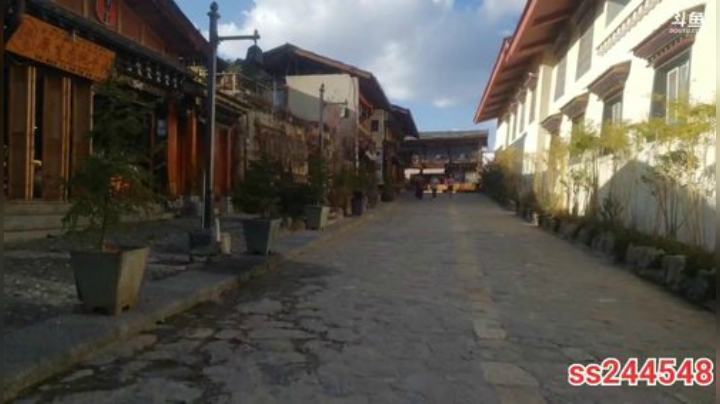 纪实直播29天返回理塘 2020-04-08 17点场