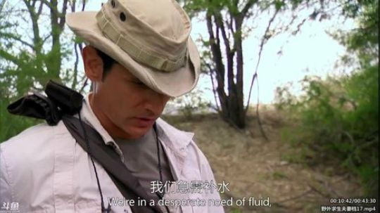护法惊丶发布了一个斗鱼视频2020-04-08