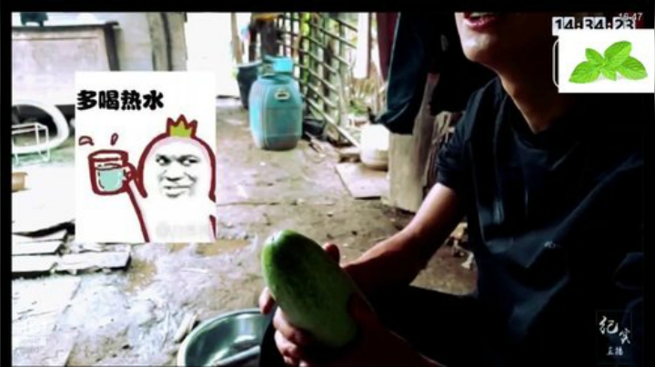 纪实直播29天返回理塘 2020-04-09 08点场