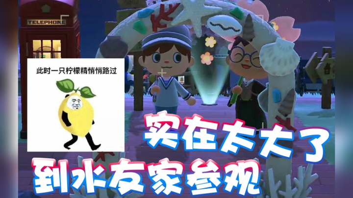【超级小桀】到水友家参观 鱼都比我住得好！