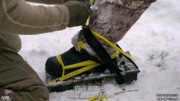 静思世语发布了一个斗鱼视频2020-04-10