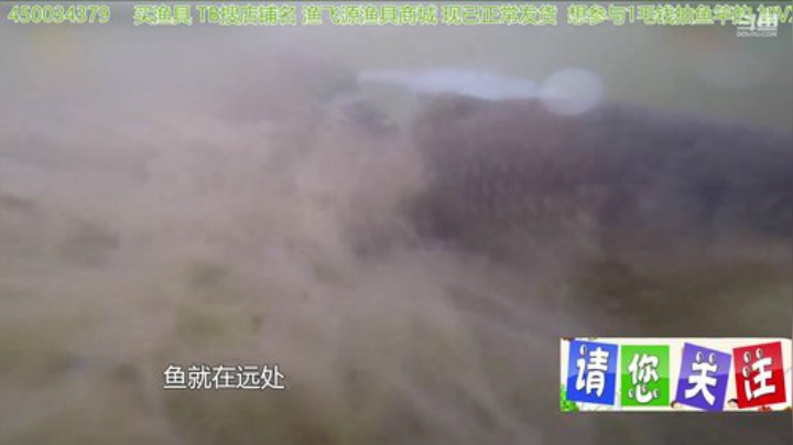 我在斗鱼看贱贱钓鱼直播乡野