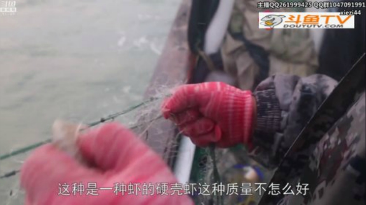 我在斗鱼看胖胖灬直播英雄联盟