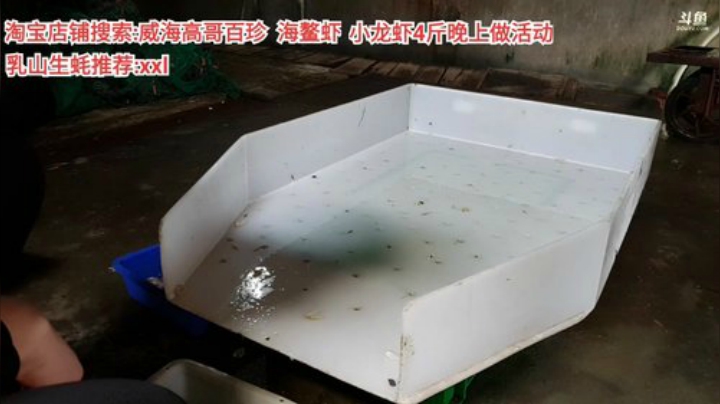 西北老狼哥哥发布了一个斗鱼视频2020-04-10