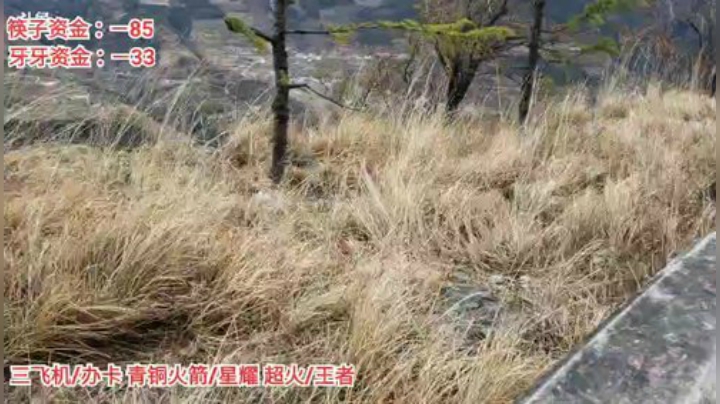 入藏行到泸定 2020-04-11 13点场