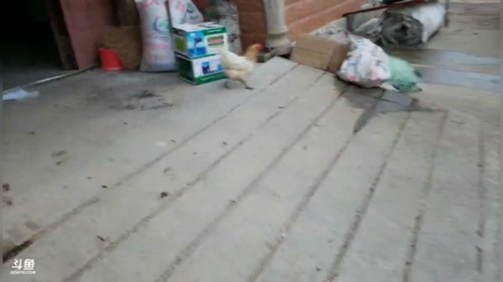 基地改造，欢迎勇士到来 2020-04-10 16点场