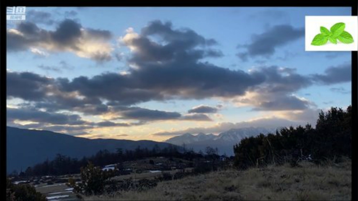 纪实直播31天理塘到拉萨，出发毛娅大草原 2020-04-11 06点场