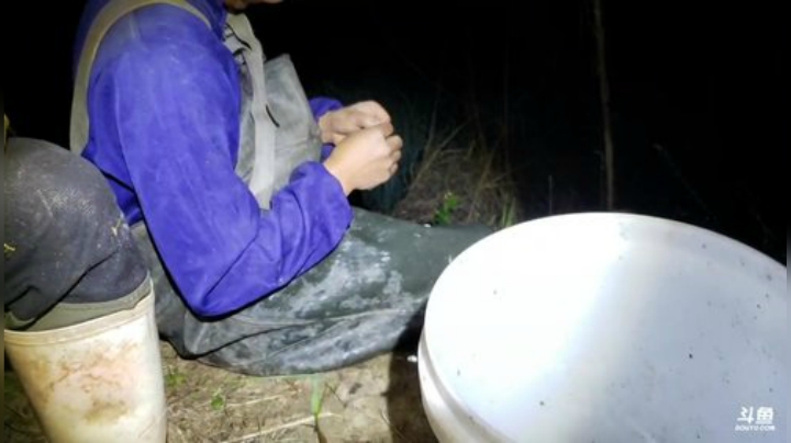 搞麻鳝麻鳝 2020-04-09 23点场