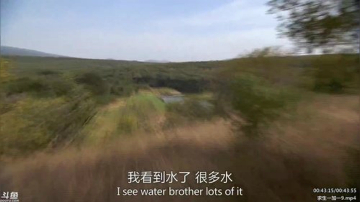 户外遛狗王飞哥发布了一个斗鱼视频2020-04-11