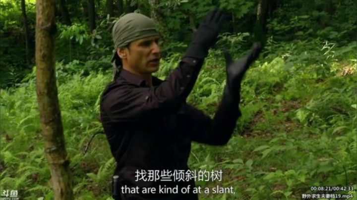 静思世语发布了一个斗鱼视频2020-04-11