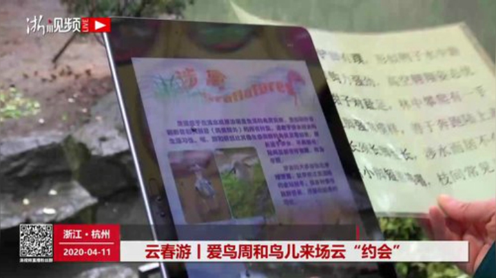 云春游丨爱鸟周和鸟儿来场云“约会” 2020-04-11 09点场