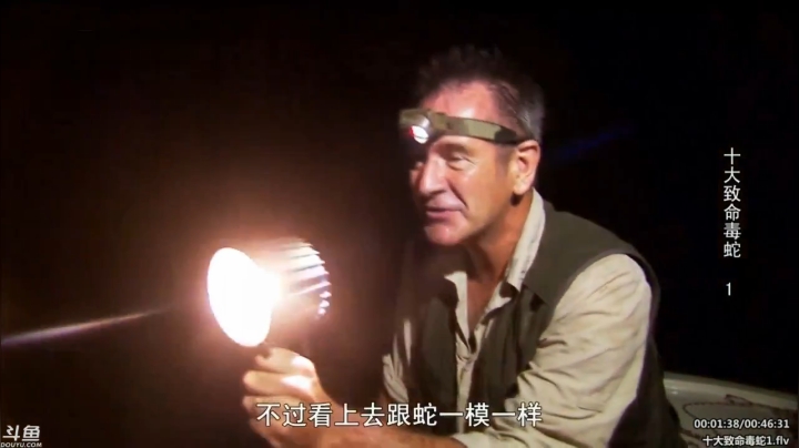 户外遛狗王飞哥发布了一个斗鱼视频2020-04-12