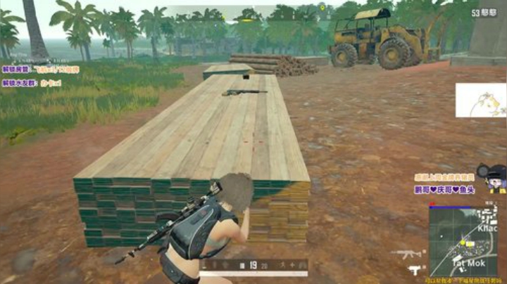 4.12 超强20杀极限反向吃鸡 下饭！