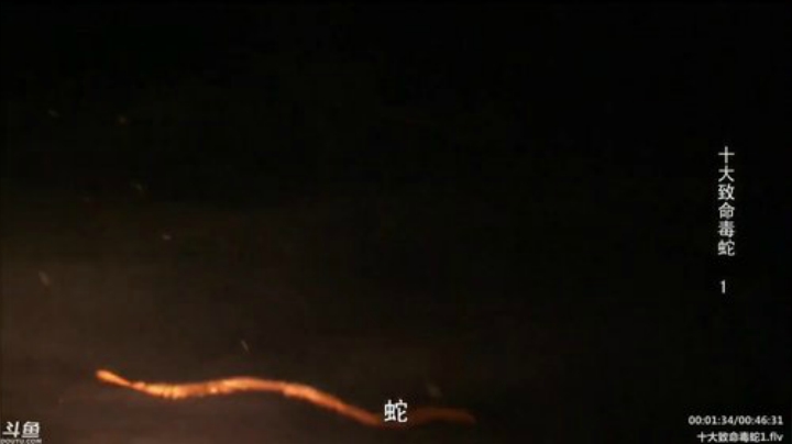 护法惊丶发布了一个斗鱼视频2020-04-12