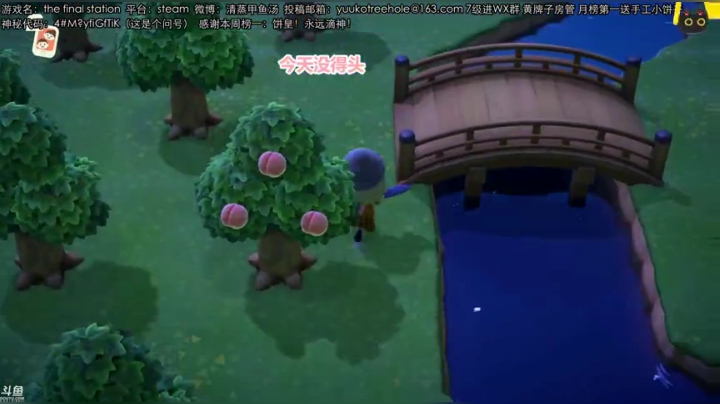 甲鱼：海鲜俱乐部 2020-04-12 02点场