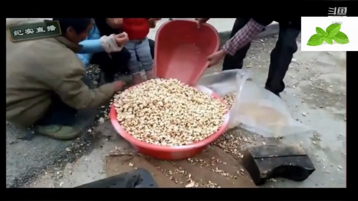 纪实直播32天理塘到拉萨，出发毛娅大草原 2020-04-12 07点场